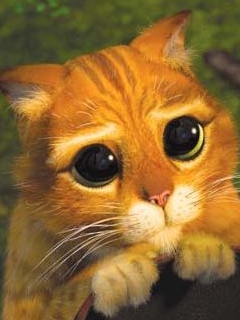 Cartoon Wallpapers 0110